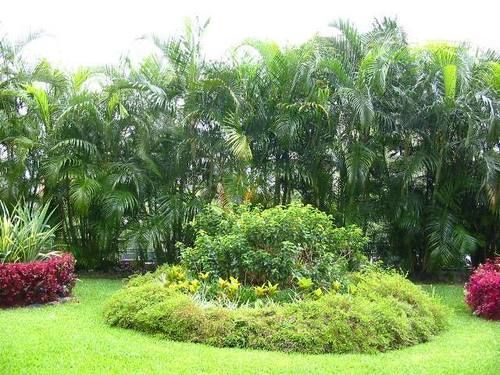La Alameda Daire Caracas Dış mekan fotoğraf